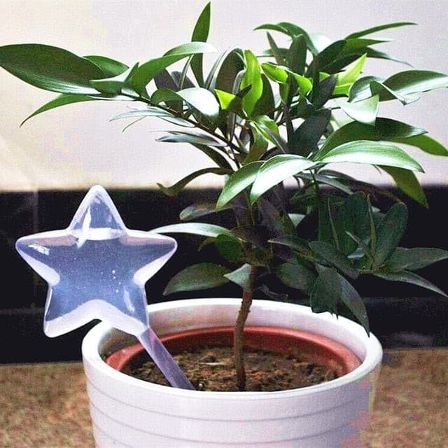 Star Self Watering Spike for pot or planter
