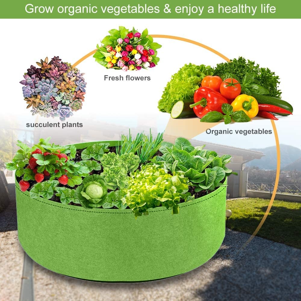Right Grow Bag Size and Plant Quantity for Better Growth - Organicbazar Blog